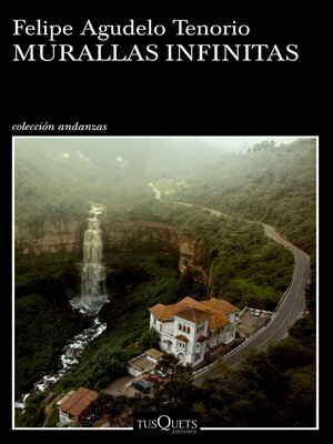 cover image of Murallas infinitas